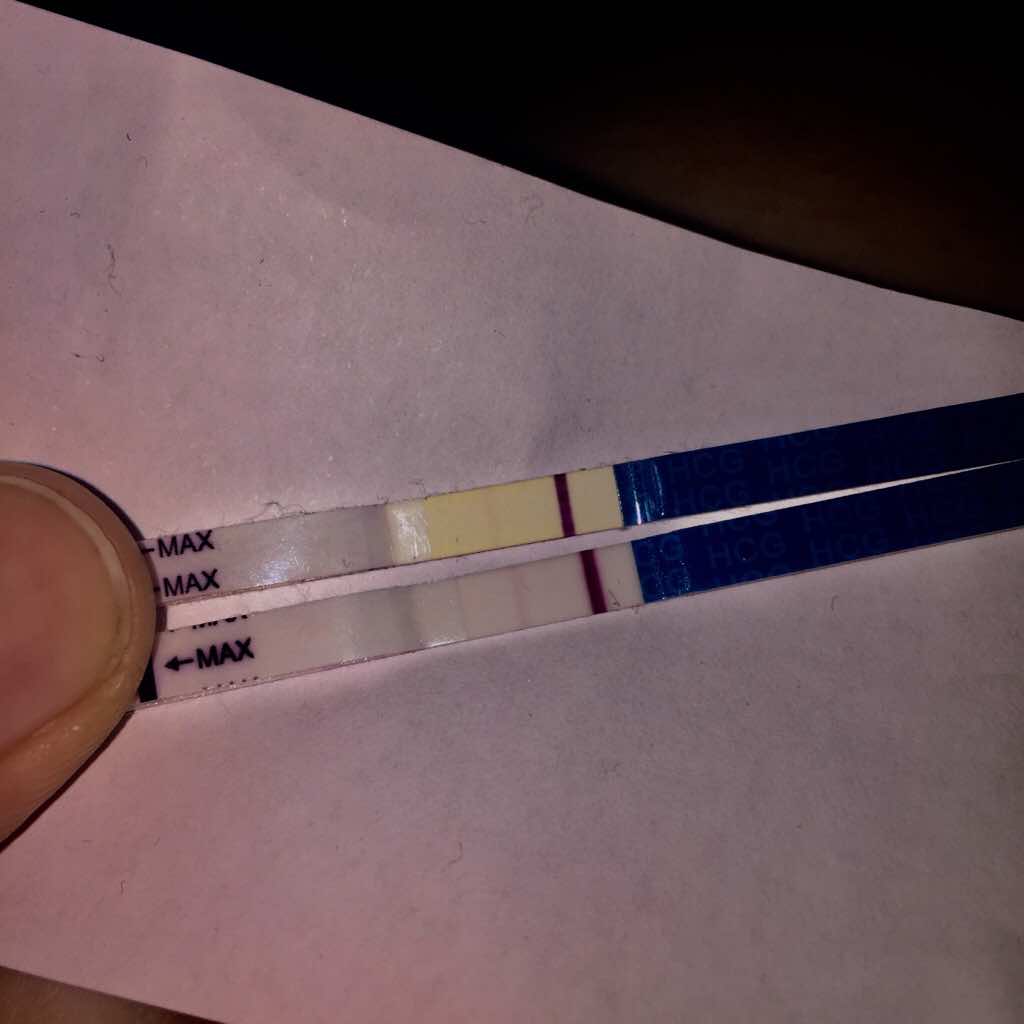 ImageUploadedByVau Foorumi1493568461.043788.jpg