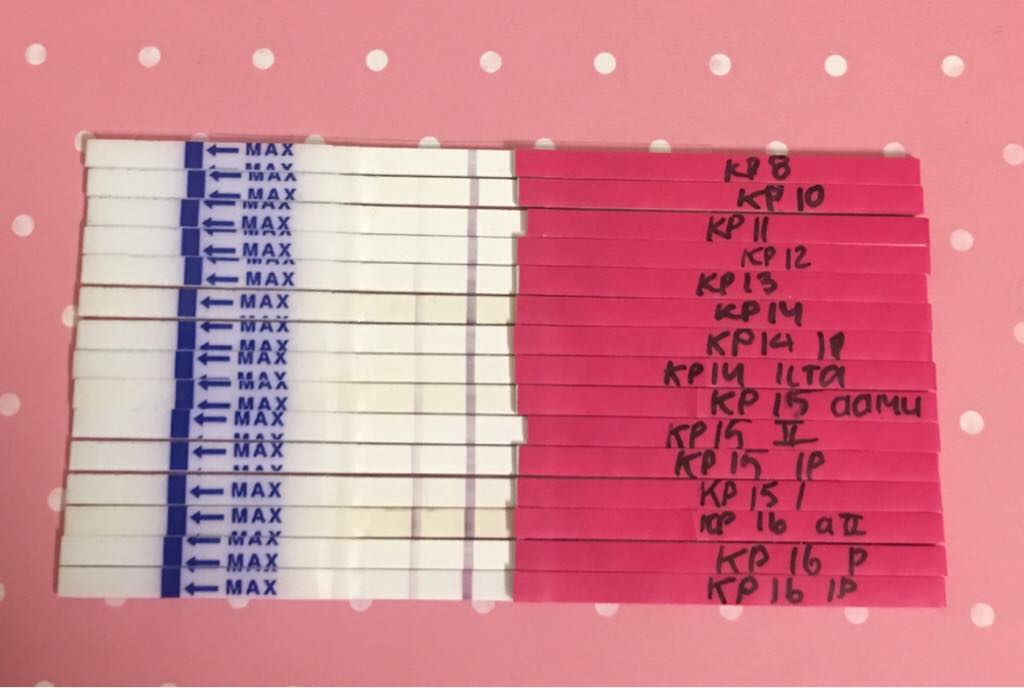 ImageUploadedByVau Foorumi1493576713.906918.jpg