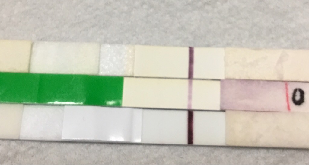 ImageUploadedByVau Foorumi1493651357.867744.jpg