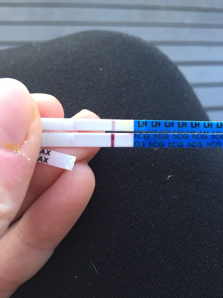 ImageUploadedByVau Foorumi1493699801.239085.jpg