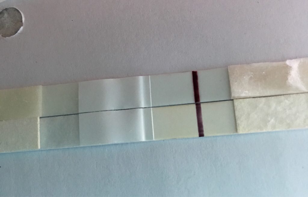 ImageUploadedByVau Foorumi1493714156.883972.jpg