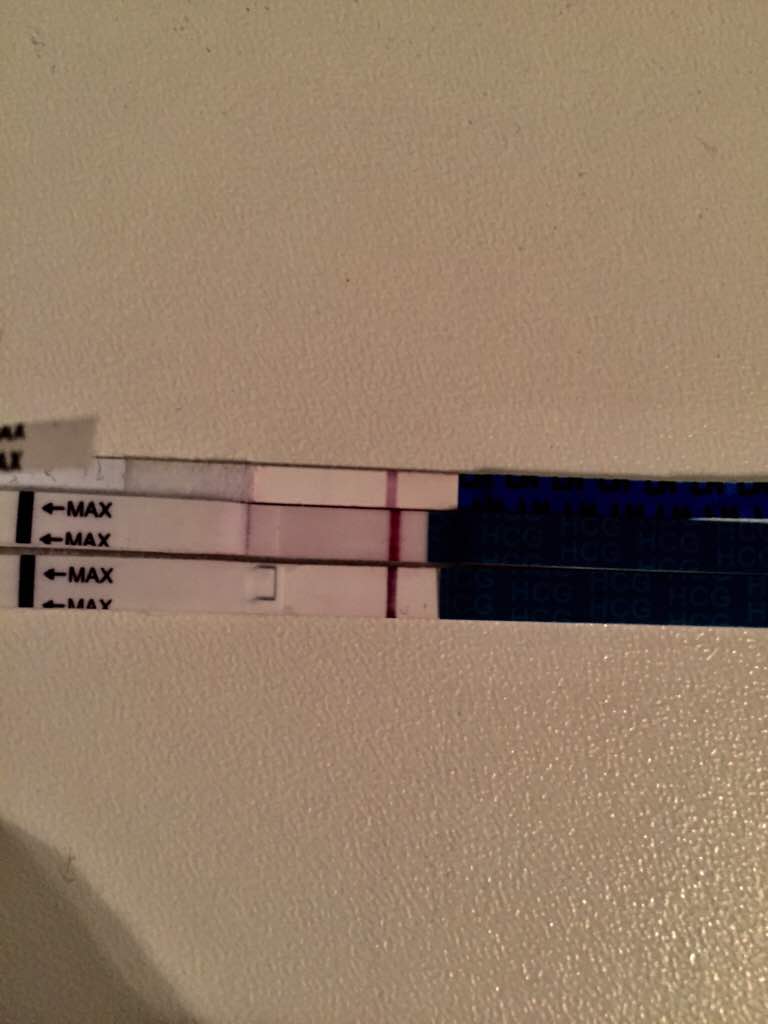 ImageUploadedByVau Foorumi1493808954.669026.jpg