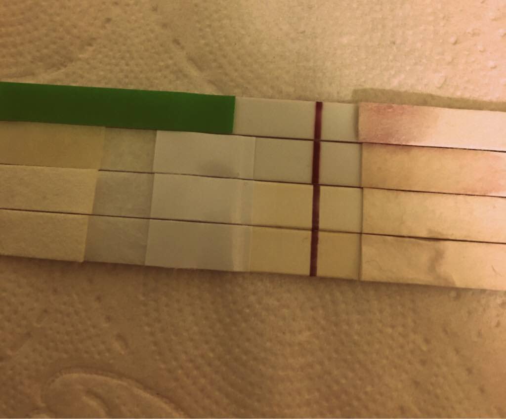 ImageUploadedByVau Foorumi1493886957.554675.jpg