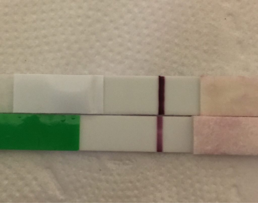 ImageUploadedByVau Foorumi1493960446.239588.jpg