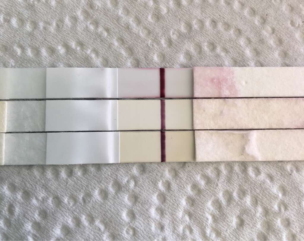 ImageUploadedByVau Foorumi1494004733.754656.jpg