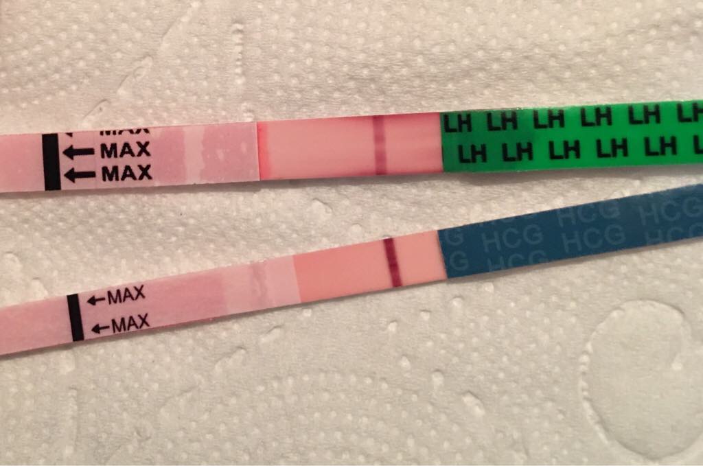 ImageUploadedByVau Foorumi1494008584.807493.jpg