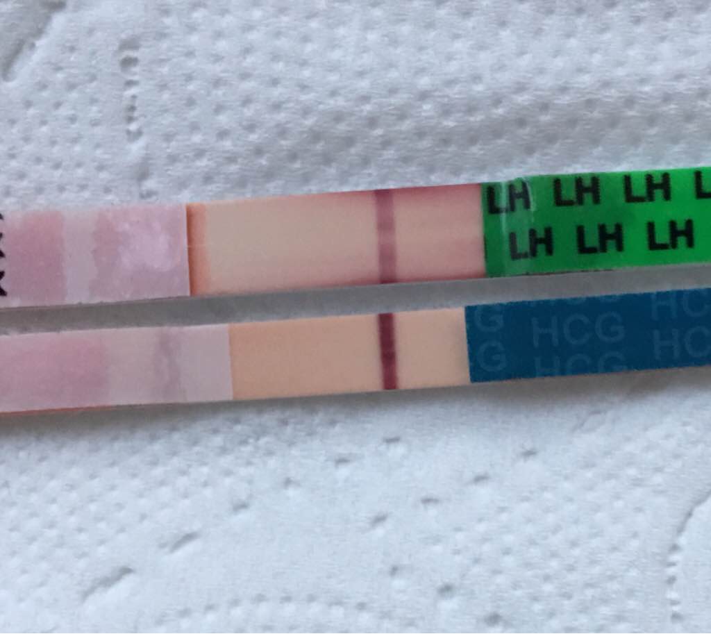 ImageUploadedByVau Foorumi1494008617.980048.jpg