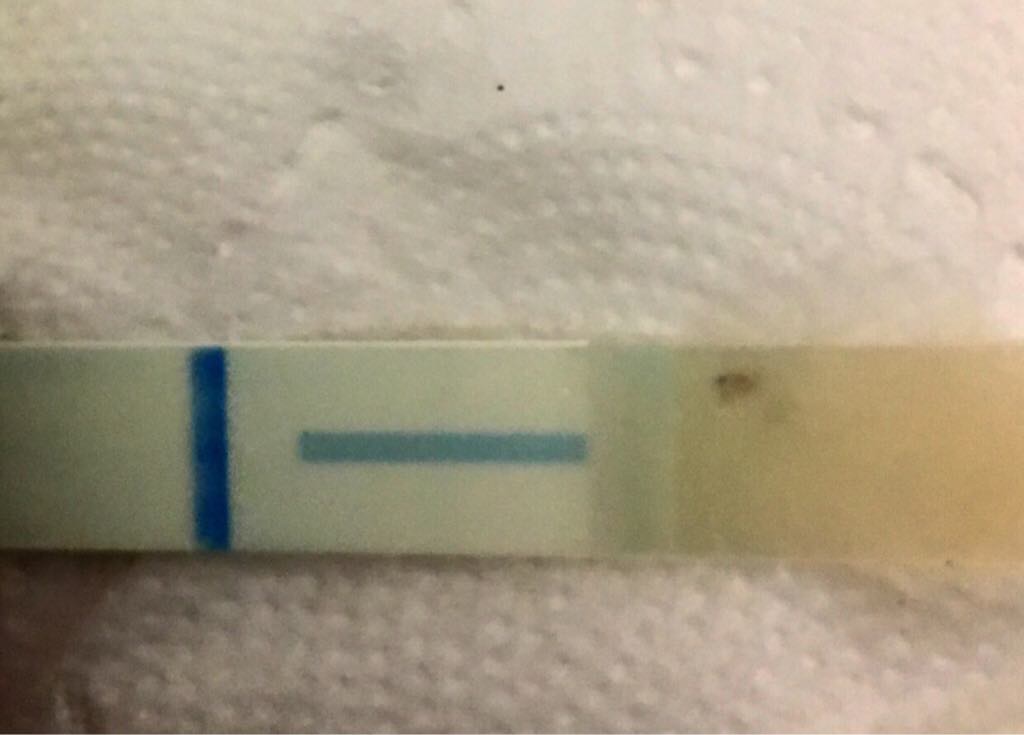 ImageUploadedByVau Foorumi1494097160.067817.jpg