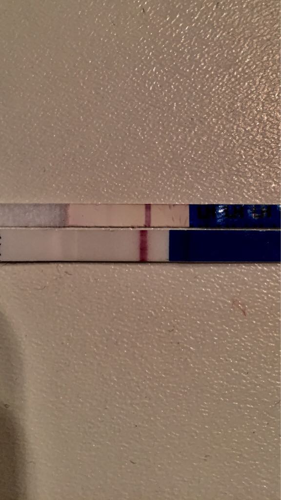 ImageUploadedByVau Foorumi1494140305.173507.jpg