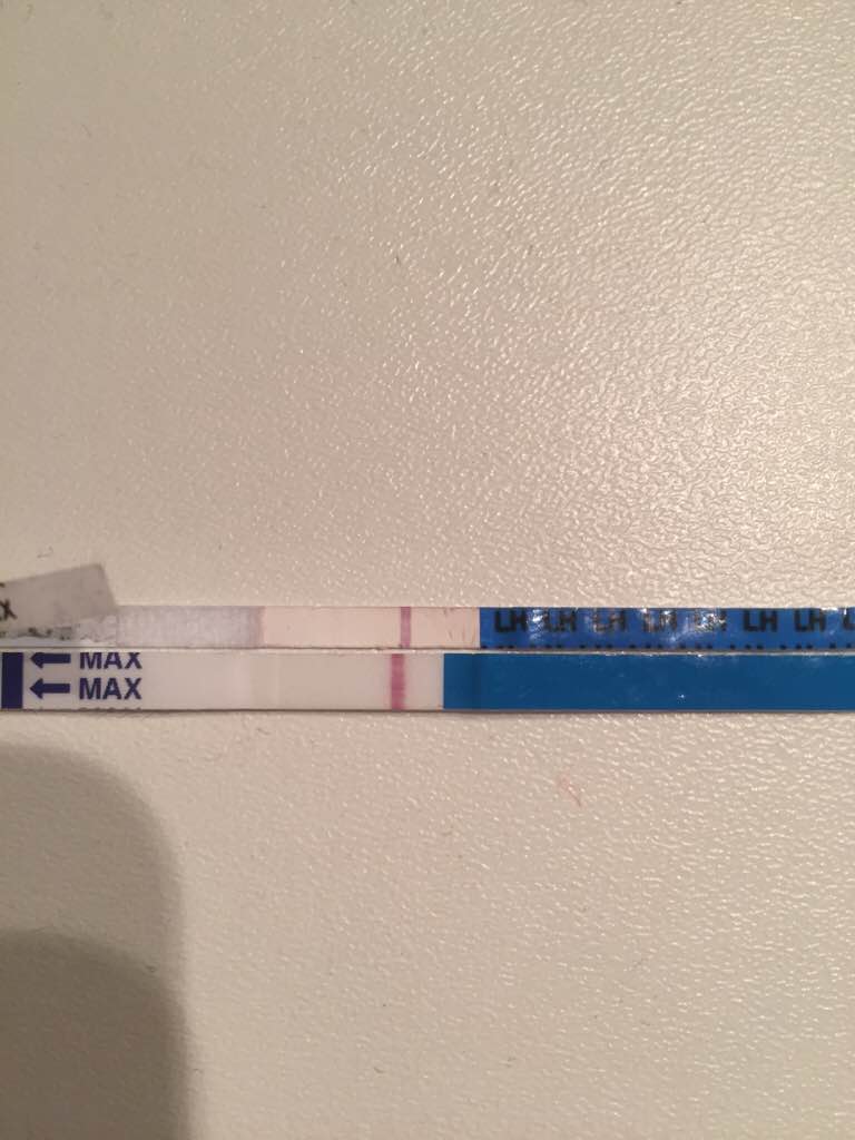 ImageUploadedByVau Foorumi1494140370.930677.jpg