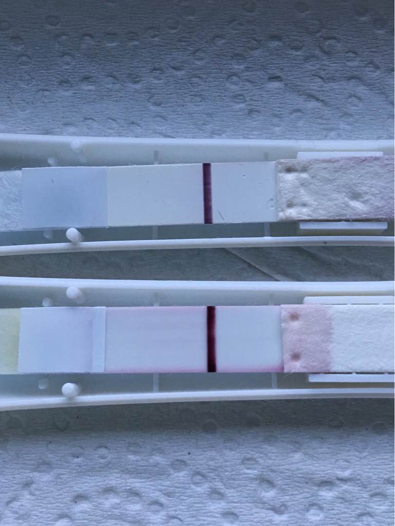 ImageUploadedByVau Foorumi1494213592.572941.jpg