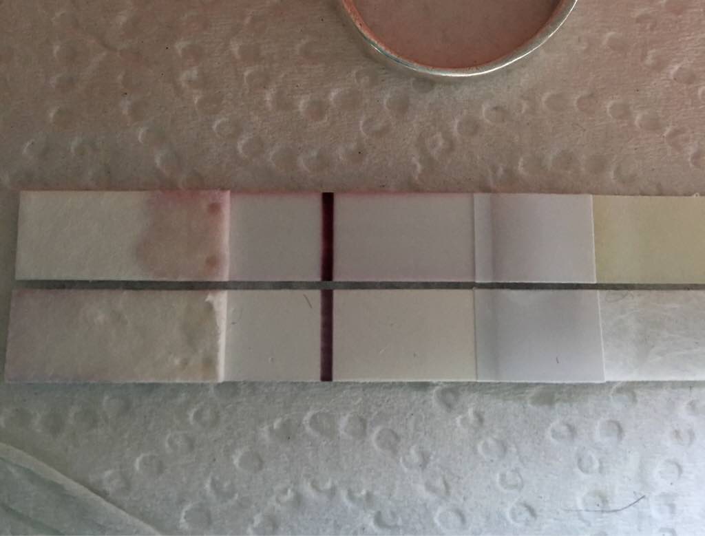 ImageUploadedByVau Foorumi1494213624.991856.jpg