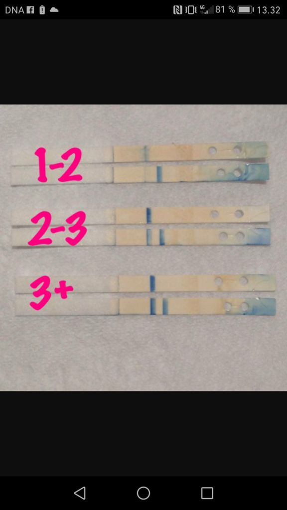 ImageUploadedByVau Foorumi1494263825.269240.jpg