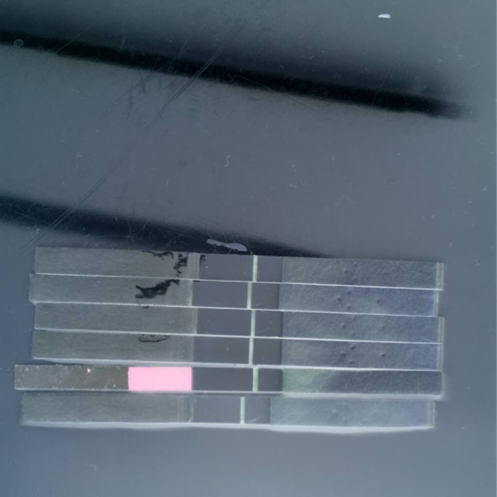 ImageUploadedByVau Foorumi1494425784.078626.jpg