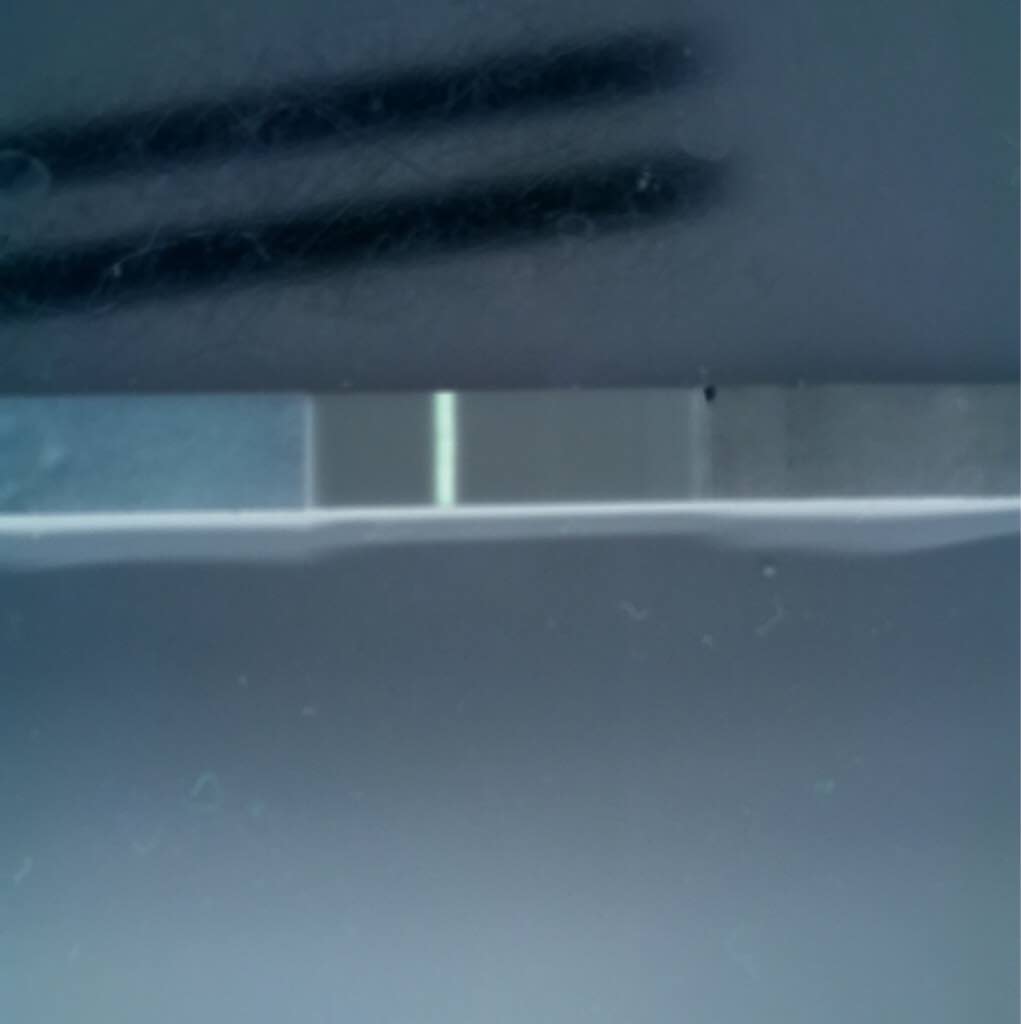 ImageUploadedByVau Foorumi1494563114.099814.jpg