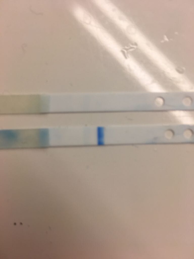 ImageUploadedByVau Foorumi1494774141.788808.jpg