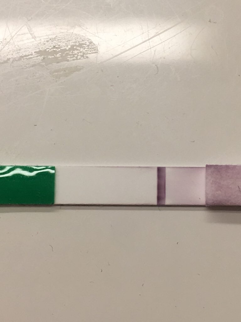 ImageUploadedByVau Foorumi1494822866.661193.jpg