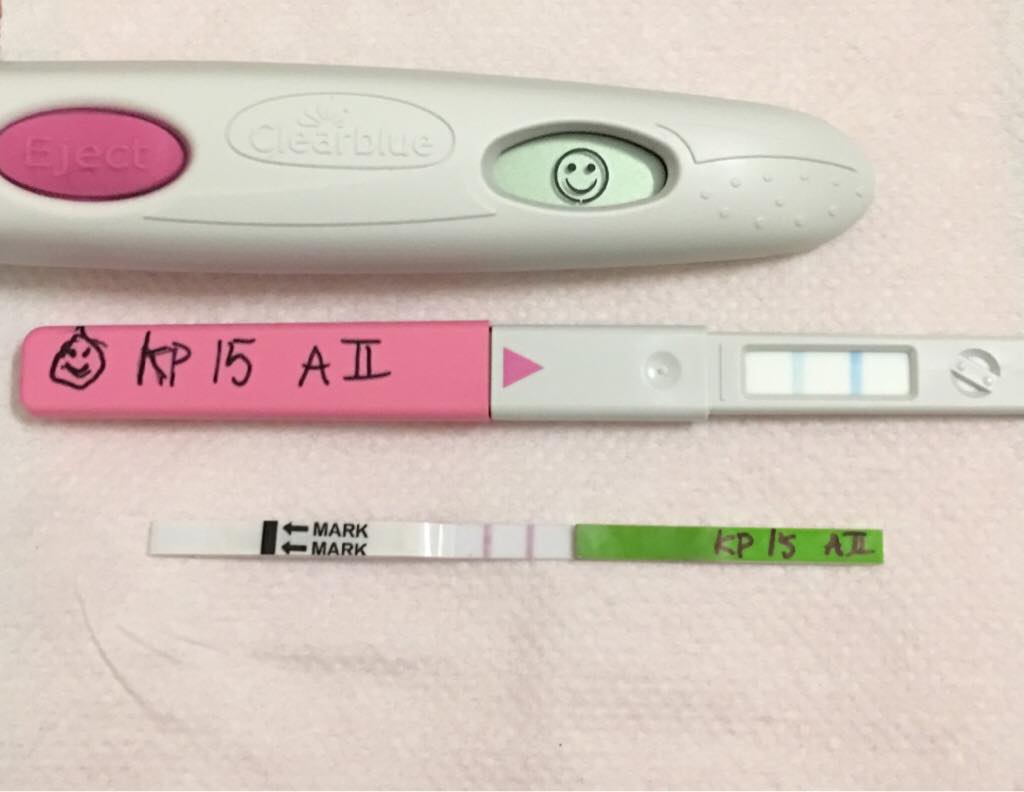 ImageUploadedByVau Foorumi1495427315.872411.jpg