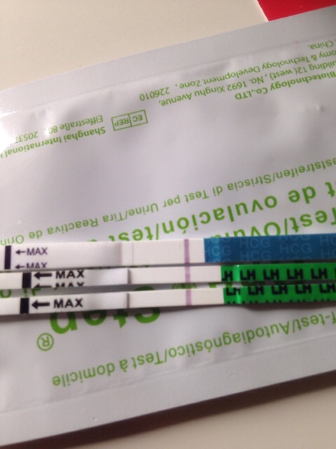 ImageUploadedByVau Foorumi1495812721.344416.jpg