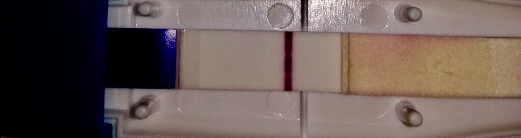 ImageUploadedByVau Foorumi1495961342.114168.jpg