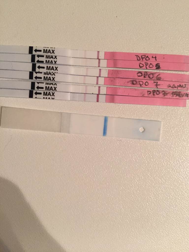 ImageUploadedByVau Foorumi1496302169.205497.jpg