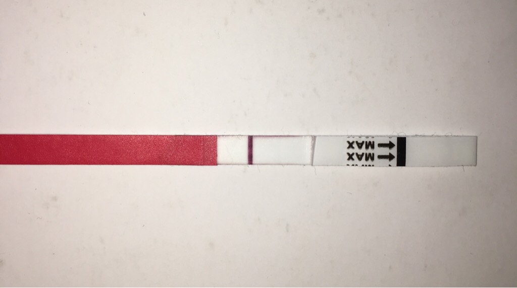 ImageUploadedByVau Foorumi1496413493.403642.jpg