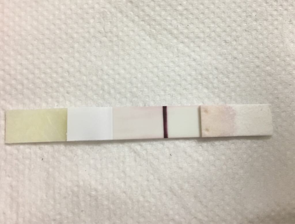 ImageUploadedByVau Foorumi1496481164.374032.jpg