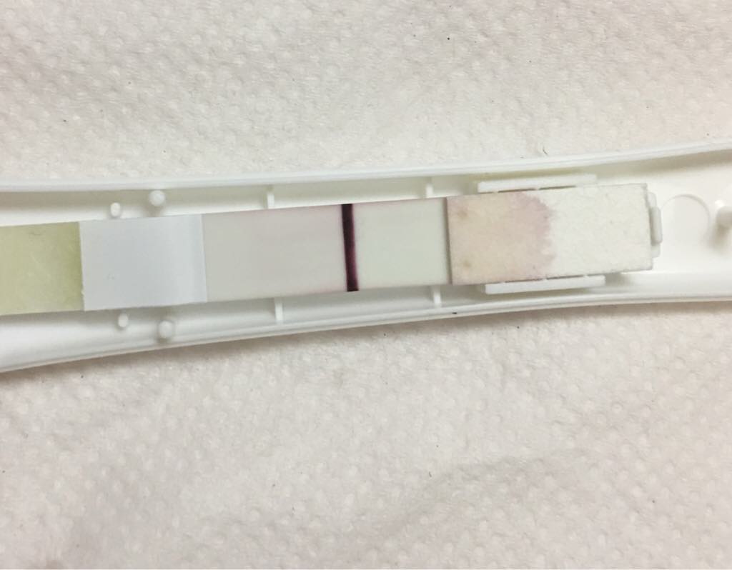 ImageUploadedByVau Foorumi1496481181.105723.jpg