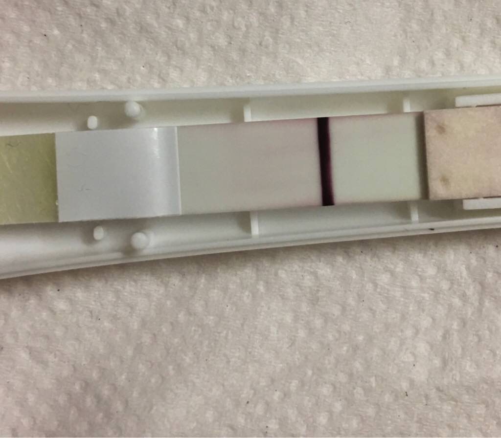 ImageUploadedByVau Foorumi1496481196.391394.jpg