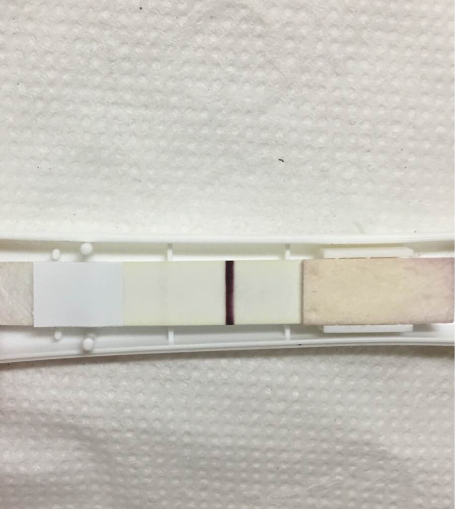 ImageUploadedByVau Foorumi1496481277.033361.jpg