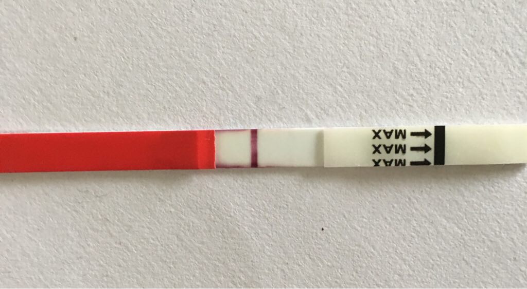 ImageUploadedByVau Foorumi1496914262.333165.jpg