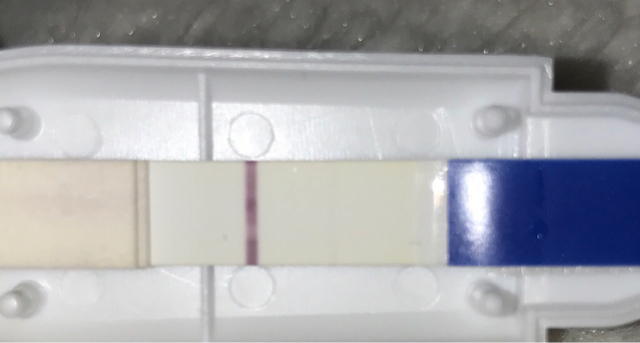 ImageUploadedByVau Foorumi1497030417.350565.jpg