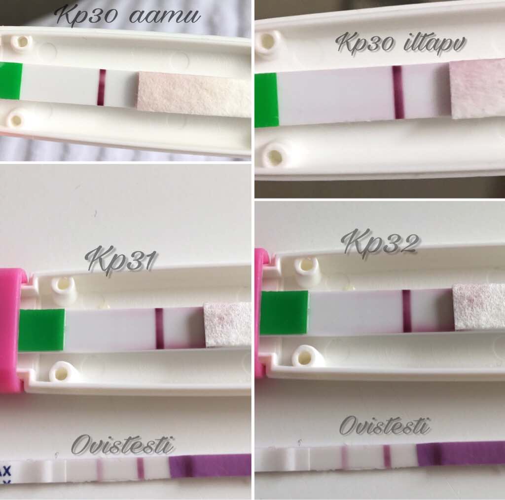 ImageUploadedByVau Foorumi1499277367.411291.jpg