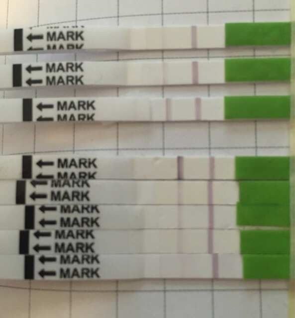 ImageUploadedByVau Foorumi1502988883.604488.jpg