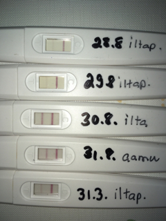 ImageUploadedByVau Foorumi1504190906.113726.jpg