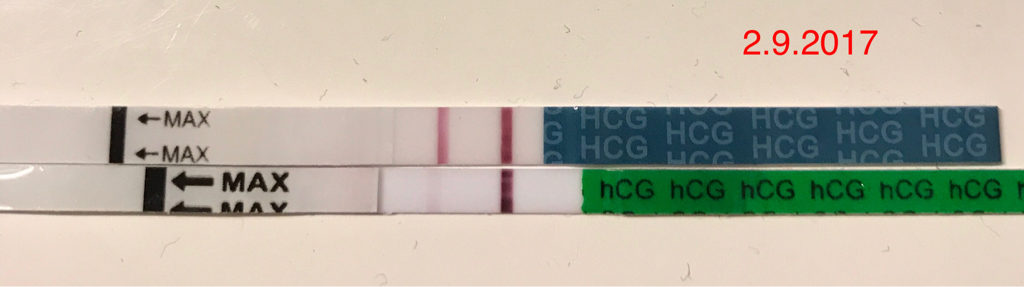 ImageUploadedByVau Foorumi1504366040.397133.jpg