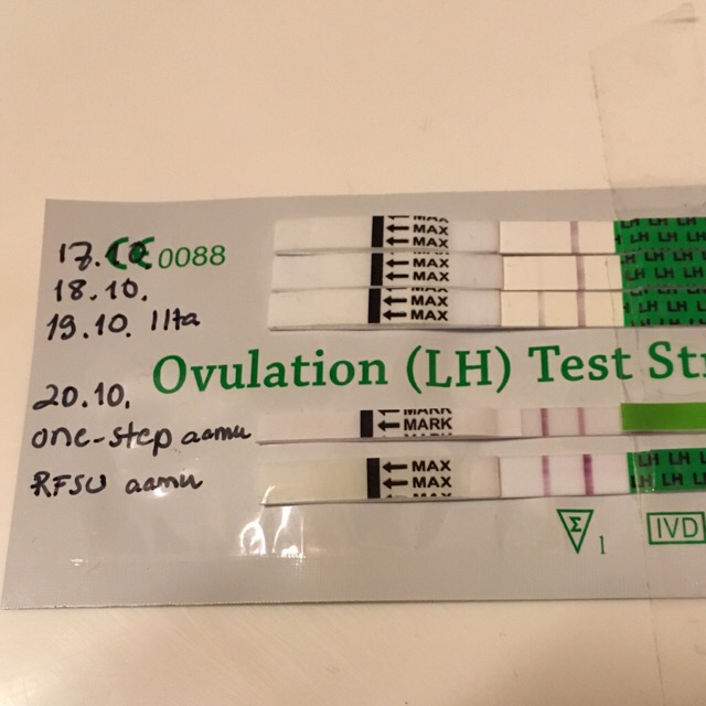 ImageUploadedByVau Foorumi1508472275.491017.jpg