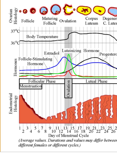 ImageUploadedByVau Foorumi1508490116.458001.jpg