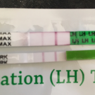 ImageUploadedByVau Foorumi1508492891.197474.jpg