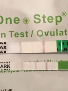 ImageUploadedByVau Foorumi1514031885.098042.jpg