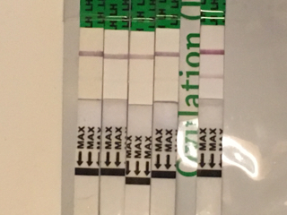 ImageUploadedByVau Foorumi1514713888.407516.jpg