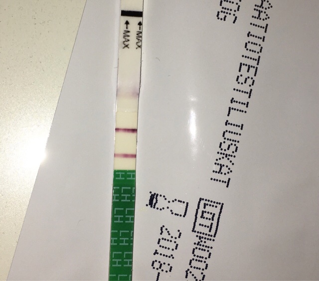 ImageUploadedByVau Foorumi1515580187.092418.jpg