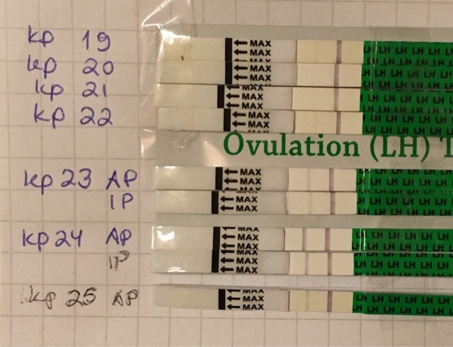 ImageUploadedByVau Foorumi1515694625.724275.jpg