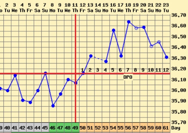 ImageUploadedByVau Foorumi1516711381.955957.jpg