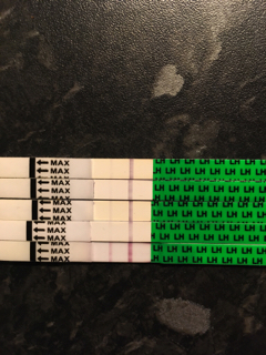 ImageUploadedByVau Foorumi1516905278.060136.jpg