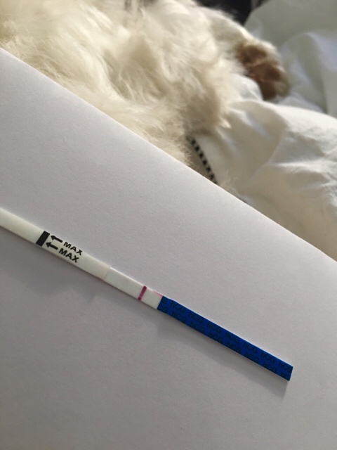 ImageUploadedByVau Foorumi1522070169.137563.jpg