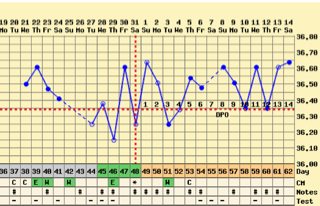 ImageUploadedByVau Foorumi1523689806.211301.jpg