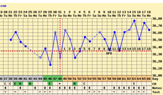 ImageUploadedByVau Foorumi1524019579.150976.jpg