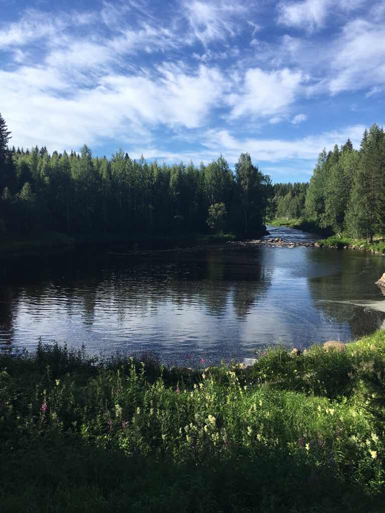 ImageUploadedByVau Foorumi1531332002.111992.jpg