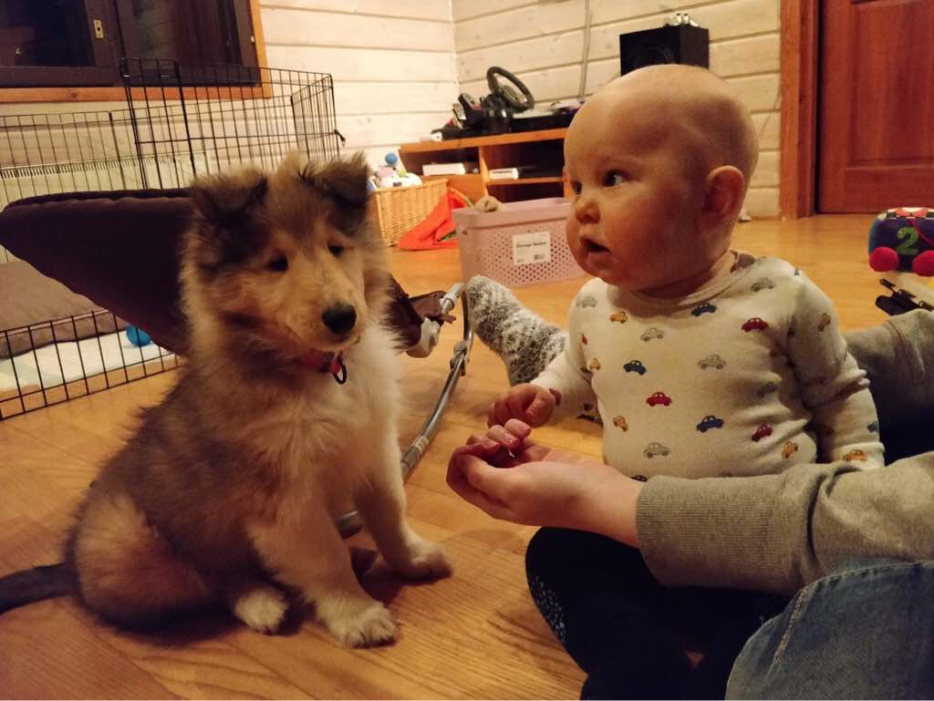 ImageUploadedByVau Foorumi1544730371.348965.jpg